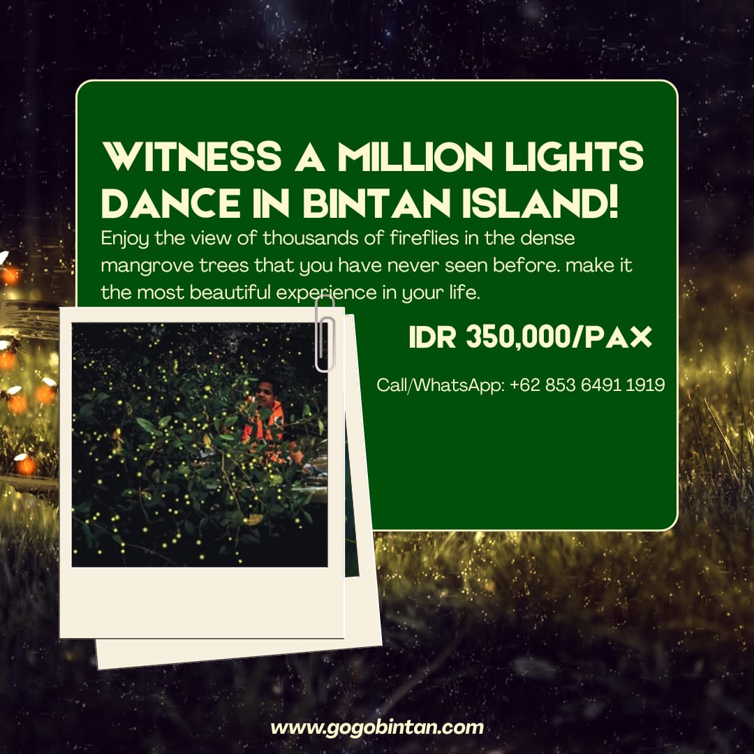 Fireflies Tour Bintan