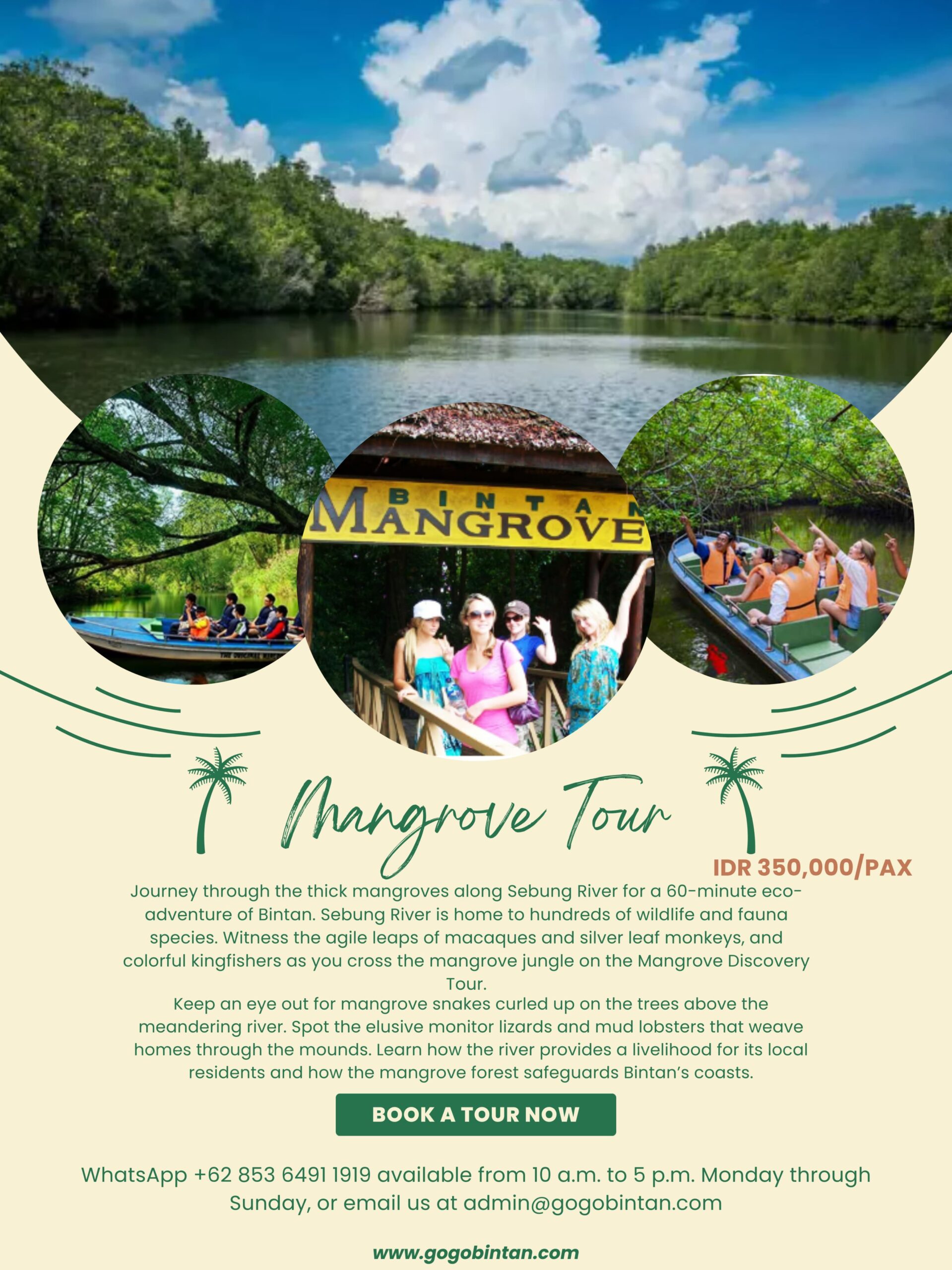 Mangrove Tour Bintan
